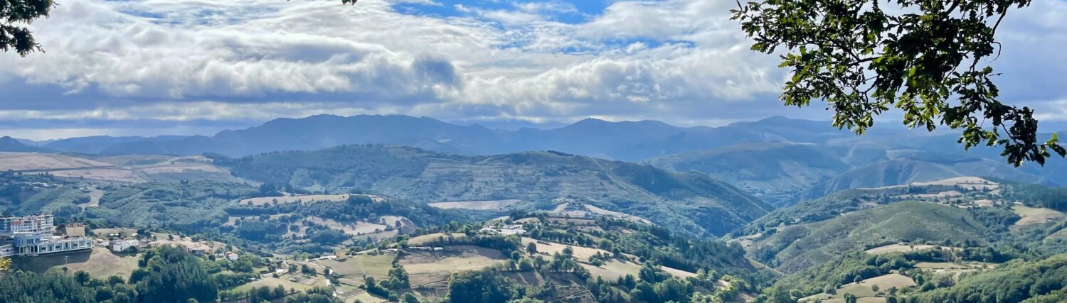 Mein Jakobsweg online