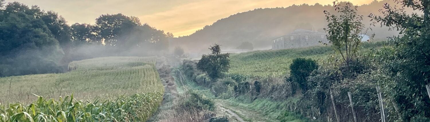 Mein Jakobsweg online