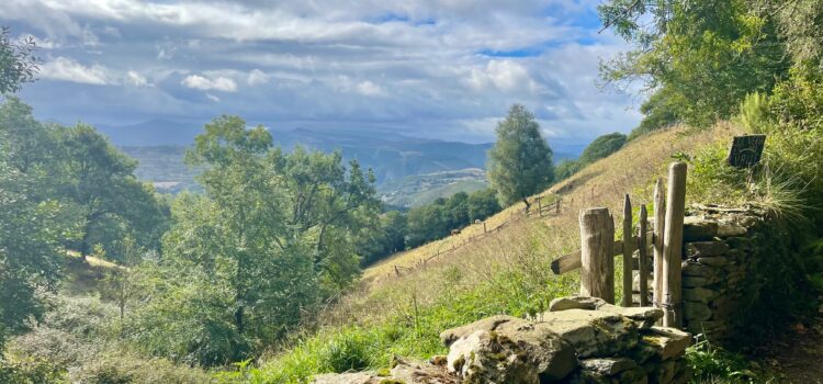 Tag 4 – Porciles – Campiello   –  Kilometerpate: Heute mal „Die Energieagentur“😉