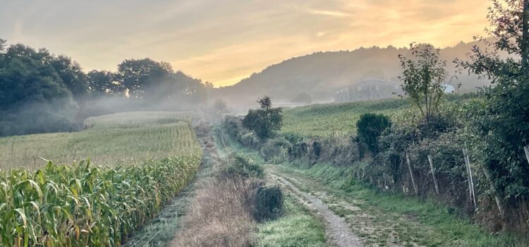 Tag 9: Castroverde  – Lugo,    Kilometerpaten: Waltraud „Walli“ Höftmann und Steffi  Borrmann